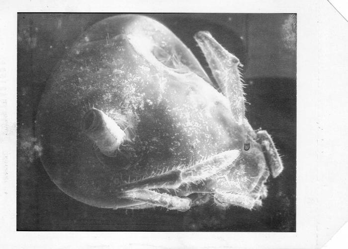 [Thumbnail for img666.jpg]