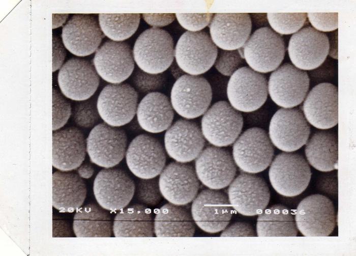 [Thumbnail for img636.jpg]