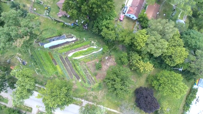 [Thumbnail for Drone-shot-of-market-garden.png]
