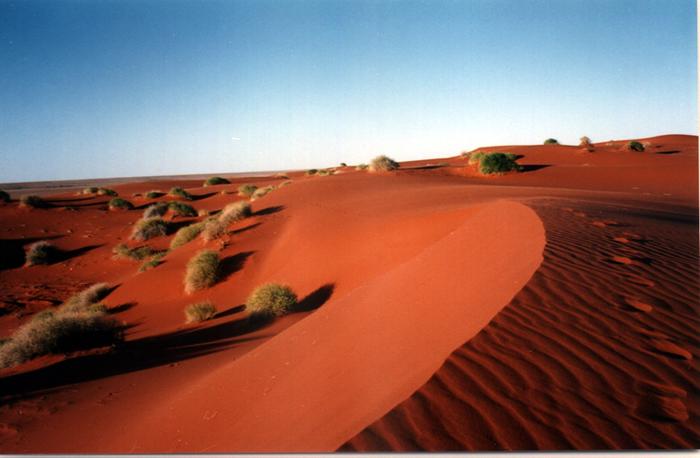 Sand Dunes Outskirts of Arrabury Station