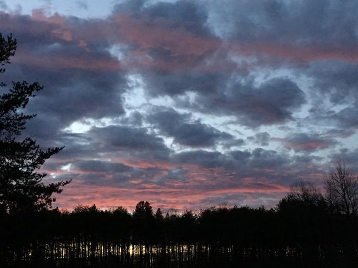 [Thumbnail for D9CC7FC2-BD9D-490E-85EA-D58C01BA7740.jpeg]