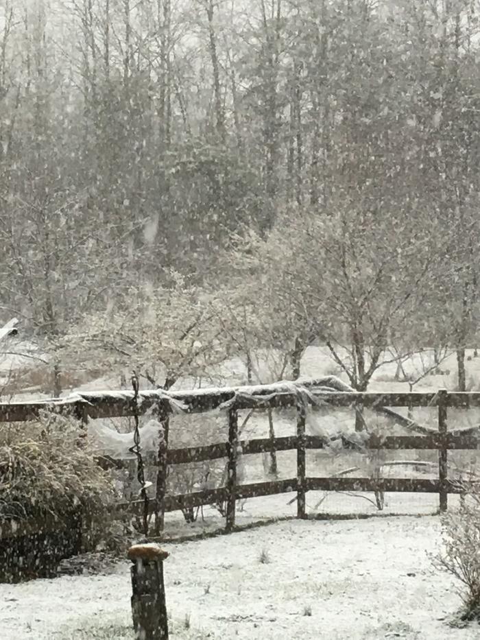 [Thumbnail for 0ADE6A82-1FE3-45A3-AAA1-C68FD40F8C7C.jpeg]