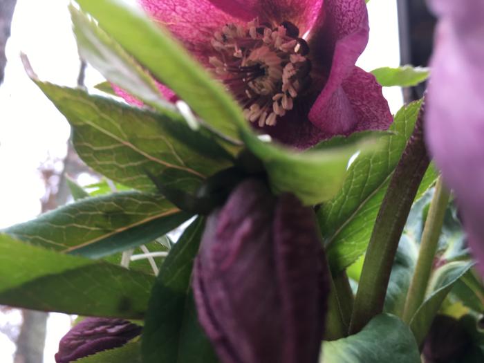 [Thumbnail for 02600625-4A0A-468C-9AF5-D32E5493738B.jpeg]