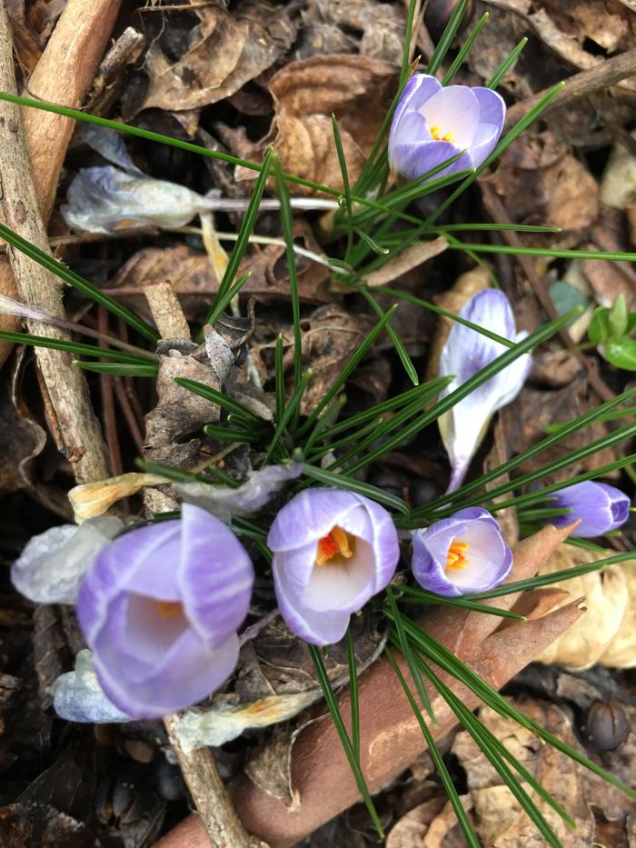 [Thumbnail for F4F0036A-6741-4848-9A40-AD45A2DD87B4.jpeg]