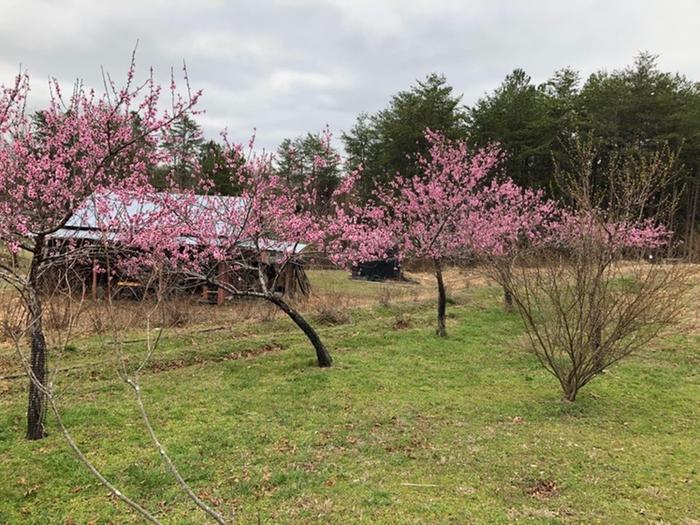 [Thumbnail for B6CE4640-A7B4-4957-A7EA-3C1B5DD5BD1B.jpeg]