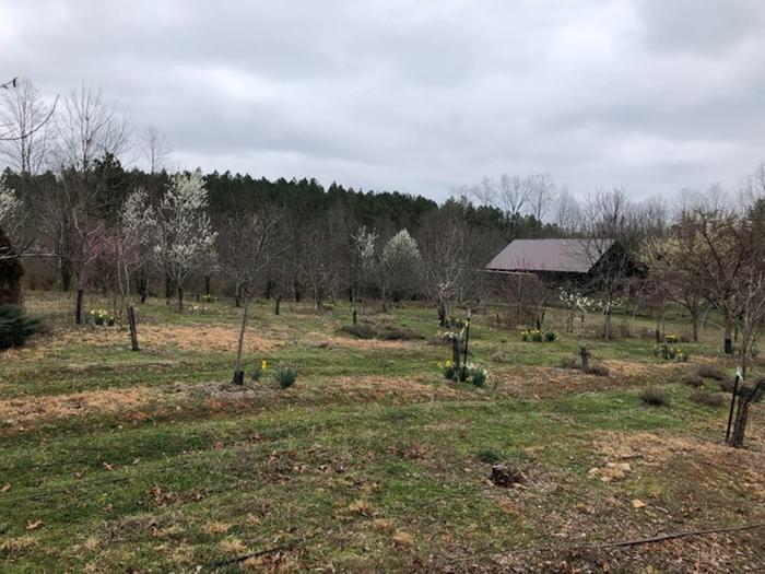 [Thumbnail for 4E4209B7-CEED-4790-A66E-BF7124605443.jpeg]