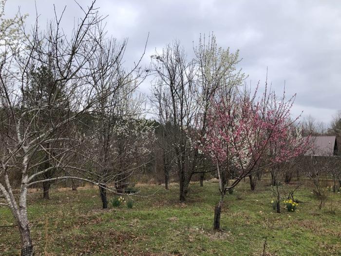 [Thumbnail for 18AB533A-11D5-4B03-AF93-6A87B3412D51.jpeg]