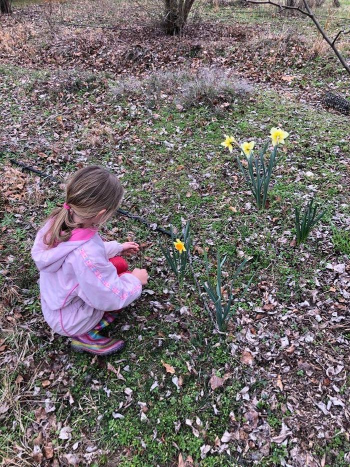 [Thumbnail for 3AA4FAC3-34BC-487E-84CA-D77E85F7D216.jpeg]