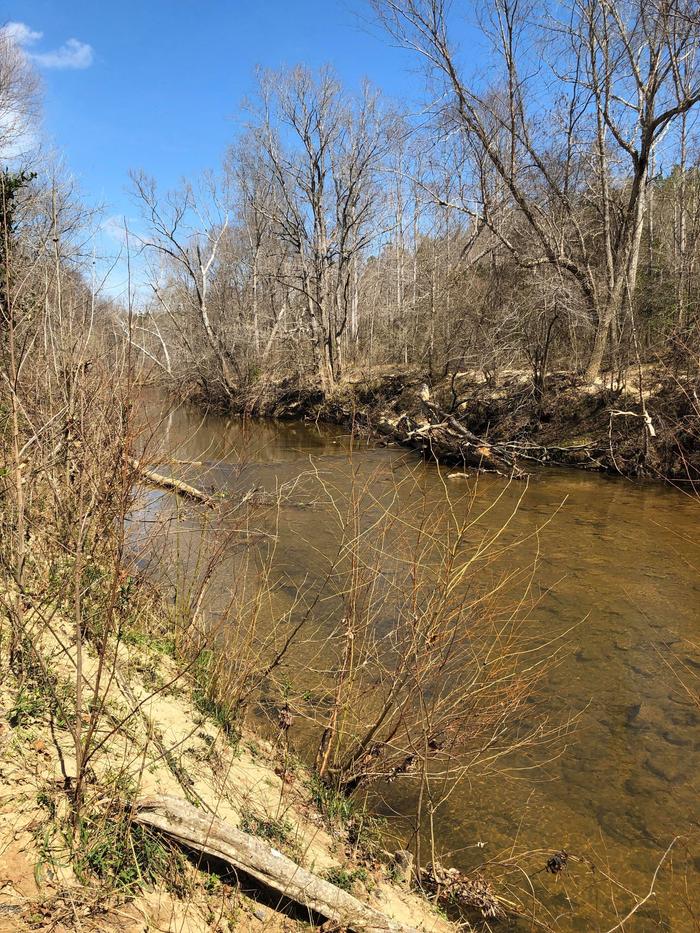 [Thumbnail for 4BEC8773-C71C-4292-B268-2E04E1AF1C54.jpeg]