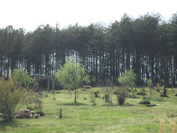 [Thumbnail for 5C9EEB34-F88E-4780-8B59-2B5B80581E27.jpeg]