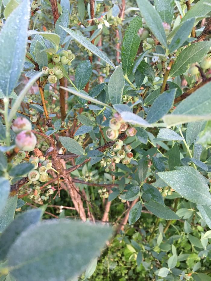 [Thumbnail for 22E6E170-2523-46D9-BEDE-8183C9343A5D.jpeg]