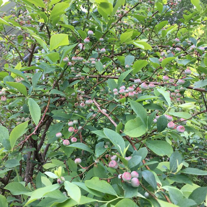 [Thumbnail for FC27AD23-A888-4C64-A236-C3602984849F.jpeg]