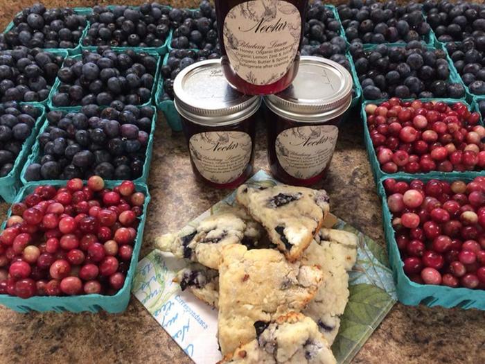 [Thumbnail for 38C47366-7812-47C7-BA52-28060686887F.jpeg]