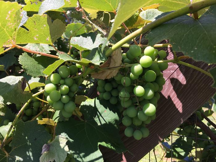 [Thumbnail for E9996507-10CB-480E-BCB6-7281DF5452B8.jpeg]