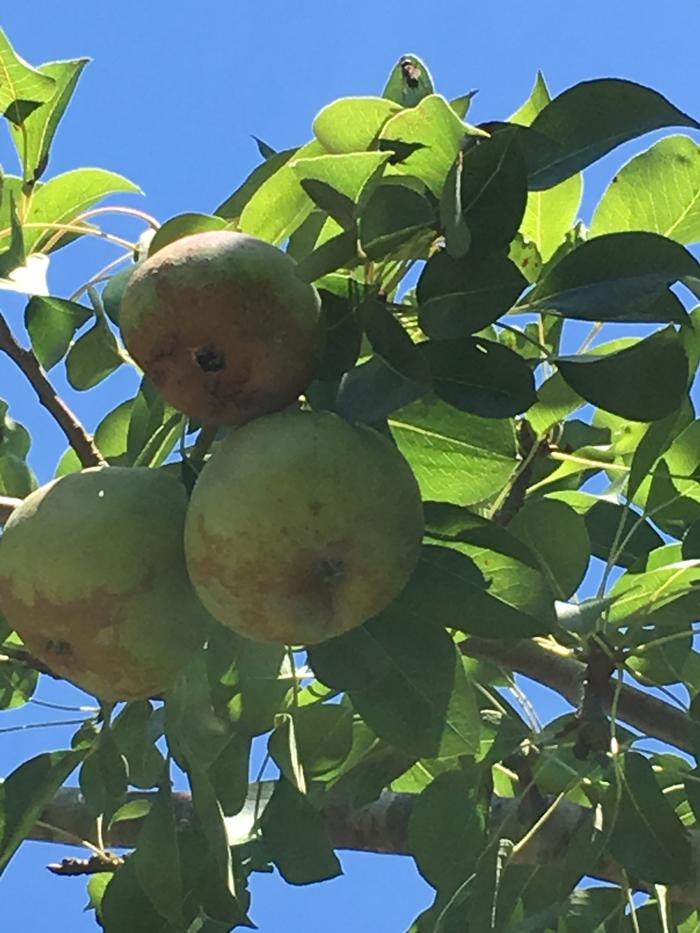 [Thumbnail for 27B159FB-119A-48A7-B499-AAF9D5A7F794.jpeg]