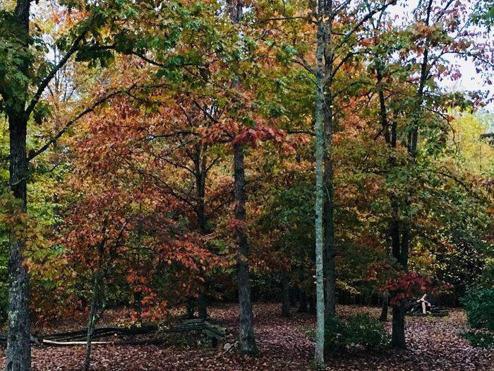 [Thumbnail for 02A6249A-D792-41EA-B32E-FD7978AA8DE3.jpeg]