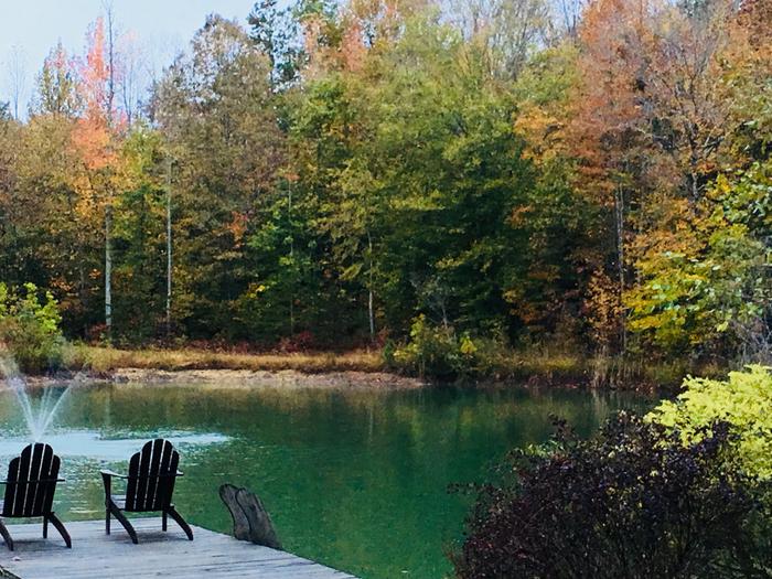 [Thumbnail for 213760D4-611E-43AD-B636-E0C924184BB8.jpeg]