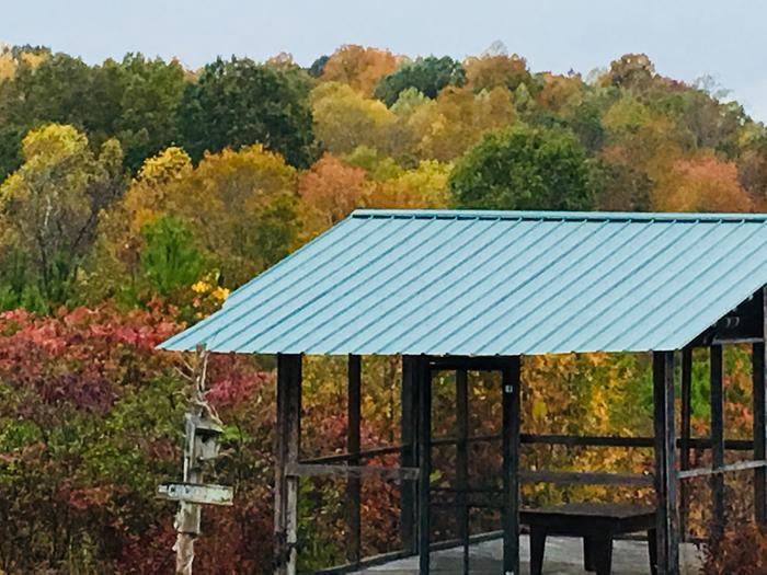 [Thumbnail for F7C2966A-D186-4573-B3CB-5A9FE5852D2A.jpeg]