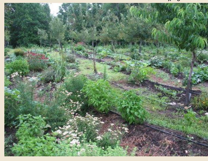 [Thumbnail for 1AD70792-FC3E-4729-AB76-DDE1F4581C55.jpeg]