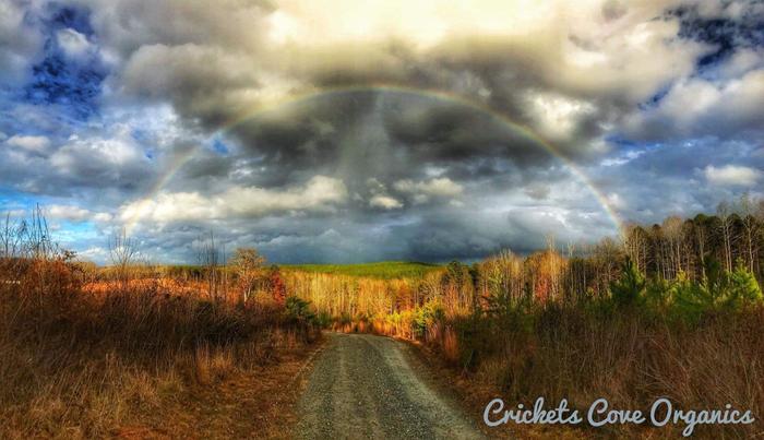 [Thumbnail for 01601A92-F77C-4D02-A6C9-7BDD50861DC3.jpeg]