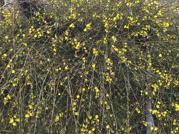 [Thumbnail for A6738393-8B5E-4E33-9E78-0D45C98A0BA5.jpeg]