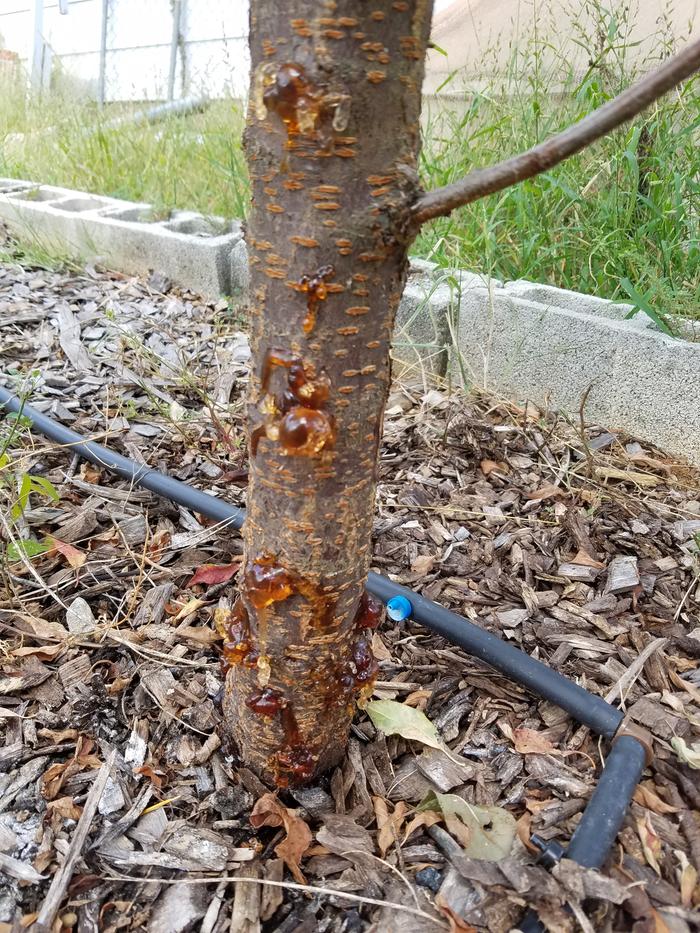 [Thumbnail for 20180903_113905.jpg]