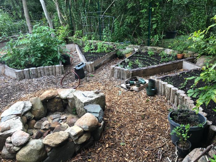 Fire pit and locust/pine beds