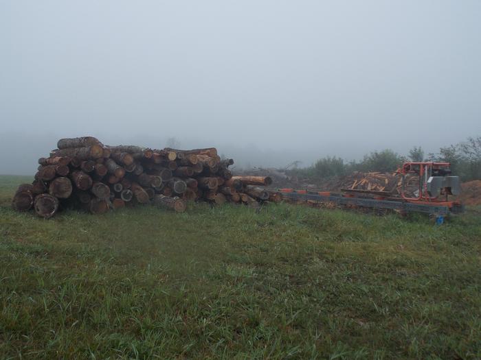 [Thumbnail for Scrounged-Logs.JPG]