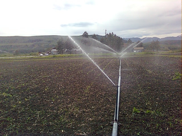 [Thumbnail for irrigation-2011-06-18.jpg]