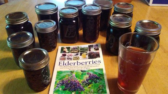 Elderberry syrup