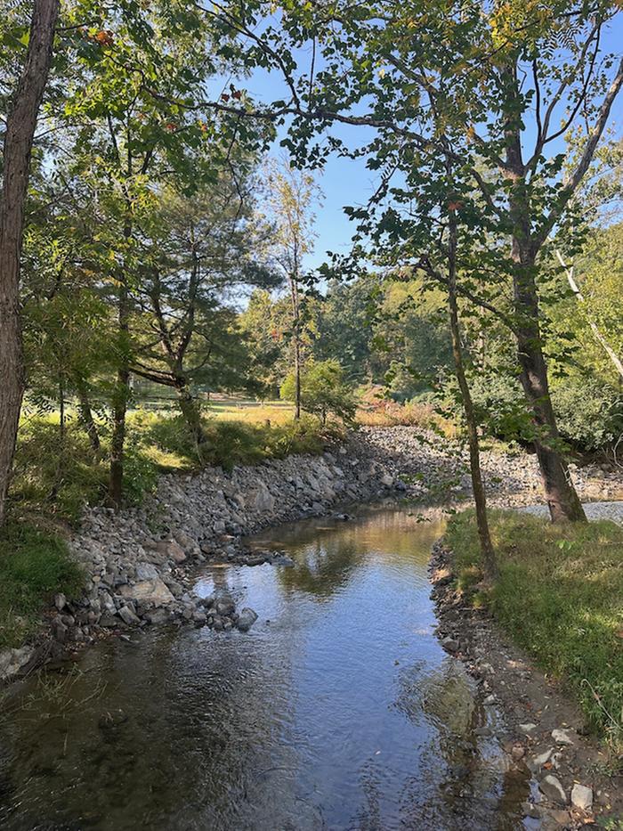 Long shot of erosion mitigation