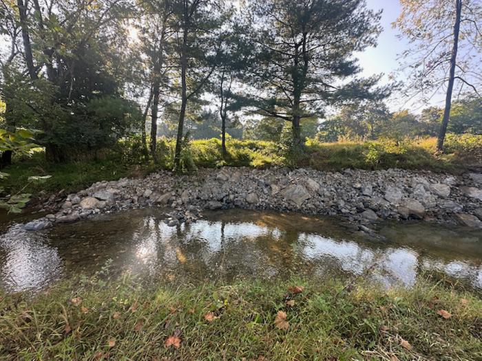 Erosion mitigation and wall