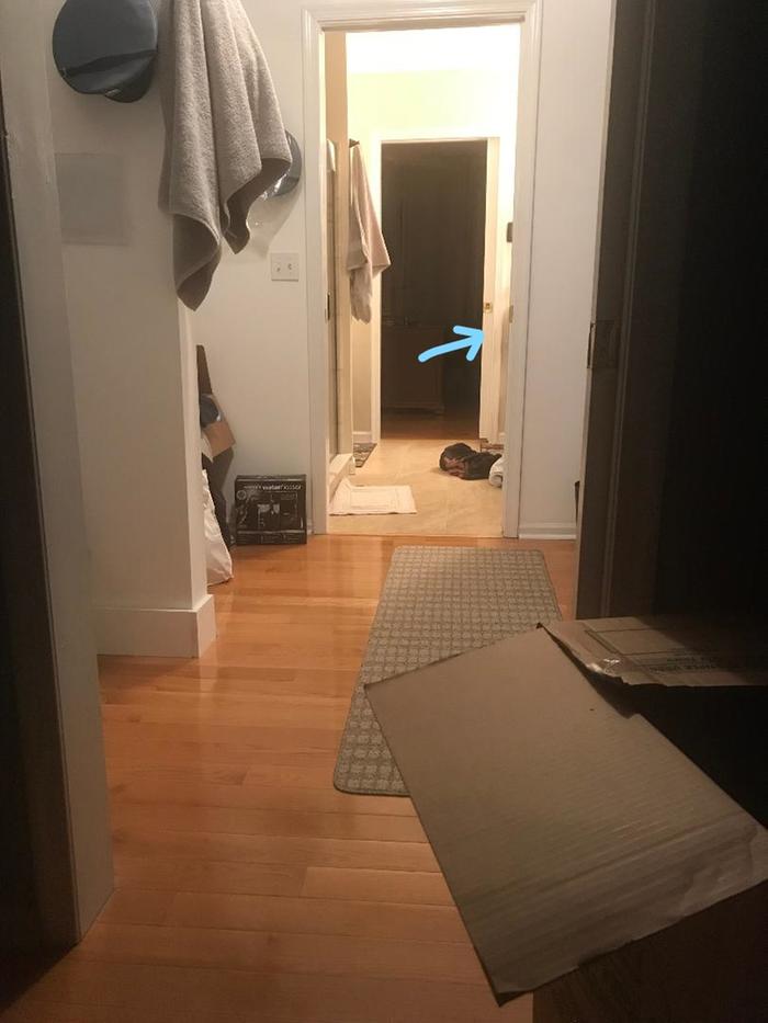 [Thumbnail for thumbnail_LI.jpg]