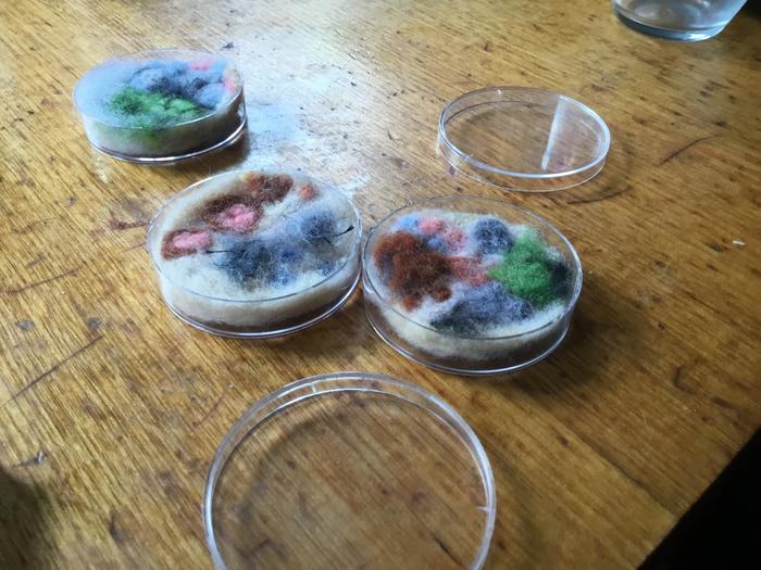 needle-felted wool petri dish 