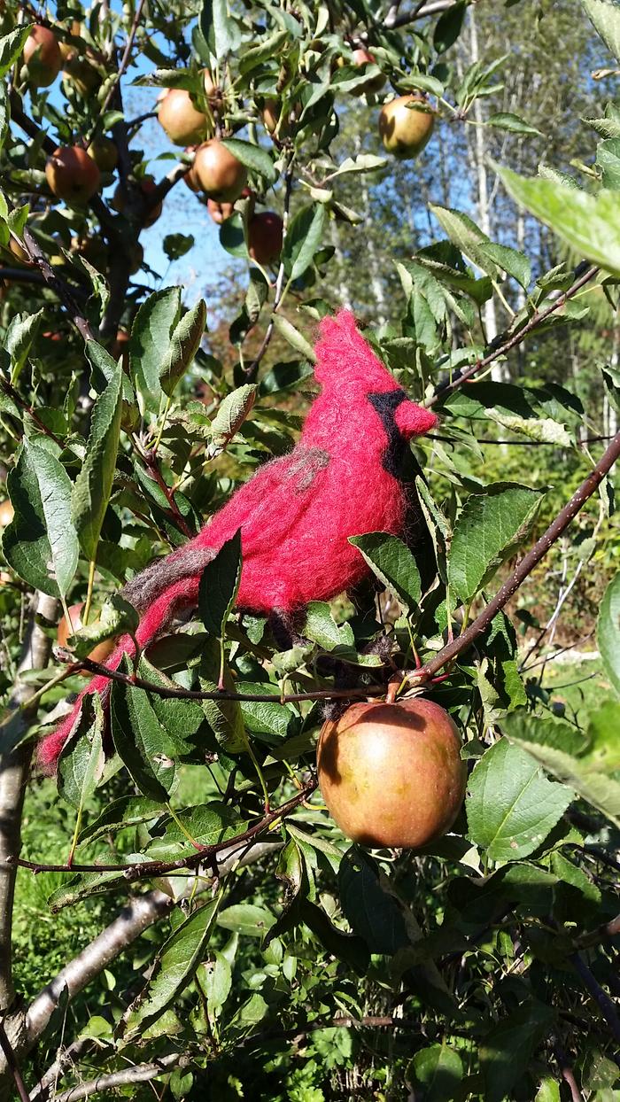 needle-felted cardinal in red apple tree