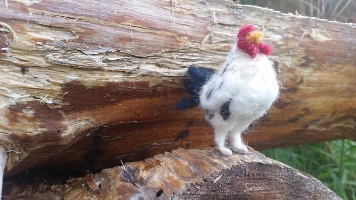 rooster standing on the bench I made!