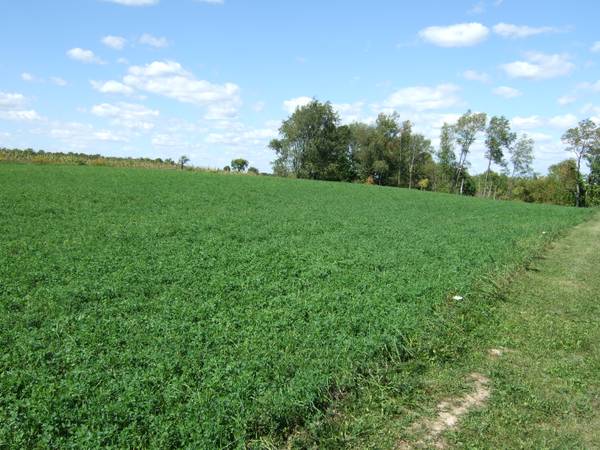 [Thumbnail for 3Ed3o33Hd5I25E15J1d3hceca708ca8731870.jpg]