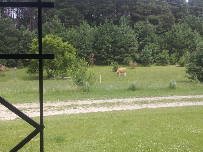 [Thumbnail for 1073106_10101077352763413_1218775877_o.jpg]