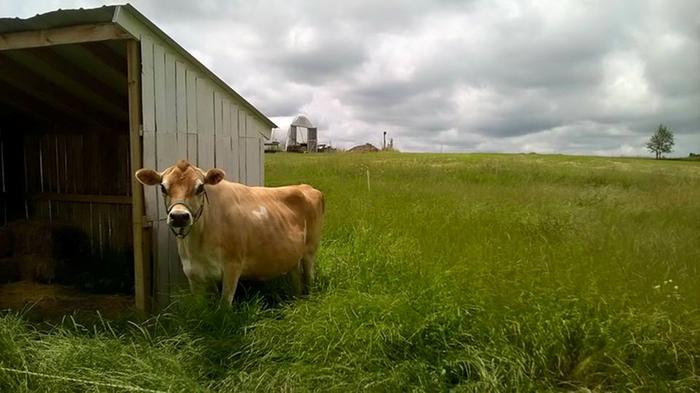 [Thumbnail for 13501669_681716865301042_2276422821179717932_n.jpg]