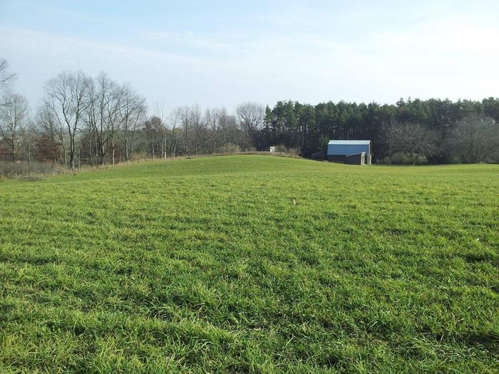 [Thumbnail for 46312615_387114332213091_6927740028919480320_n.jpg]