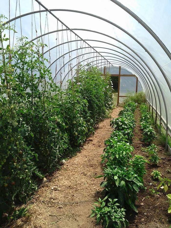 [Thumbnail for 46391100_259164184950071_6749510886274105344_n.jpg]