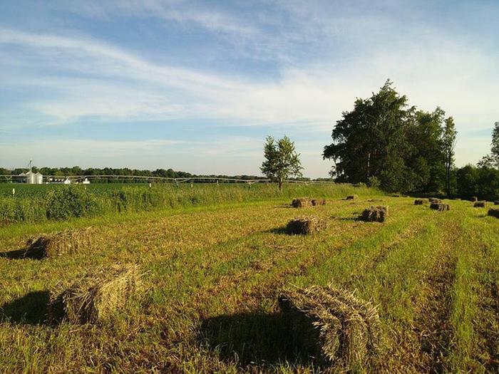 [Thumbnail for 46471935_181232529492382_3811564015256076288_n.jpg]