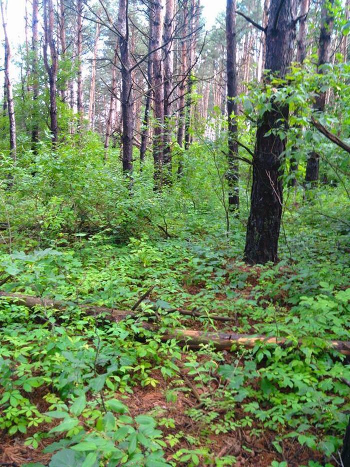 [Thumbnail for 46508415_289855684980813_4410440047258501120_n.jpg]