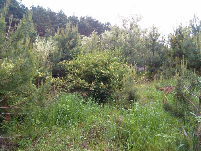 [Thumbnail for IMG_20150526_093013_856.jpg]