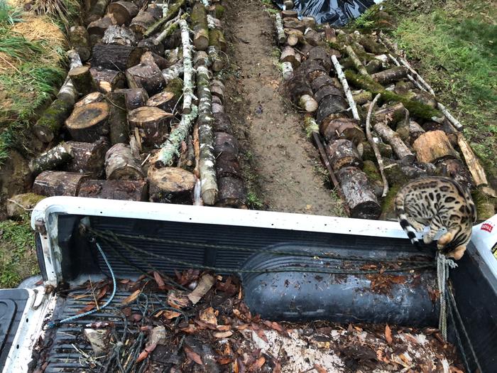 [Thumbnail for D9A84F72-6161-4A24-AEA9-D909B4B015E3.jpeg]