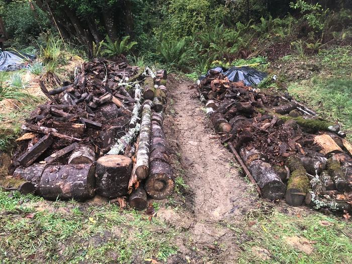 [Thumbnail for B963A4F5-7A69-43FA-AB28-E41CBD1A5F05.jpeg]