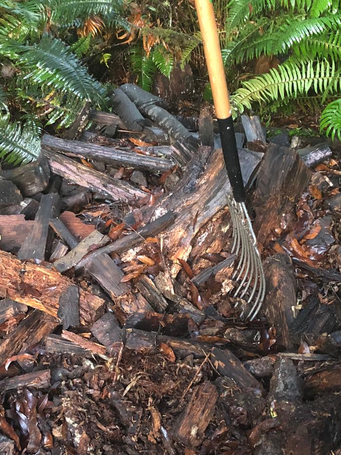 [Thumbnail for 44F0572D-EE62-4BEC-B5E0-5D4CA4FF6594.jpeg]