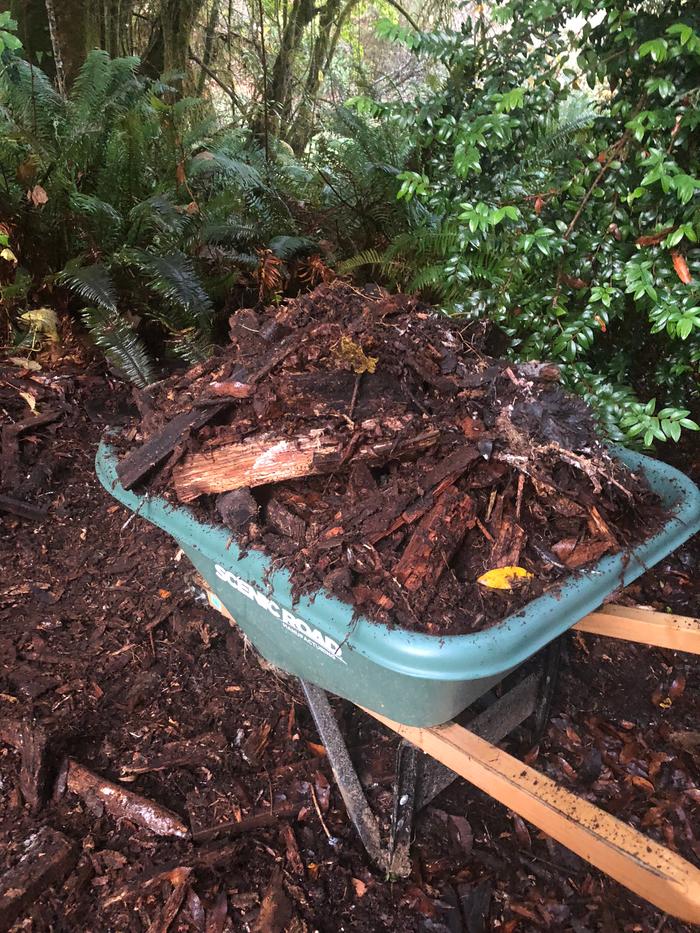 [Thumbnail for EFC4FF1E-3C31-48A6-846E-2D744A9C8881.jpeg]