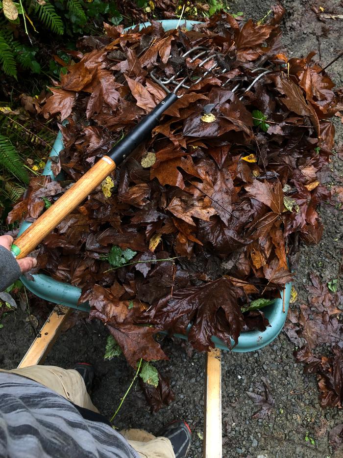 [Thumbnail for C76AE79D-72FD-4A95-861C-8CEB3633CD4A.jpeg]