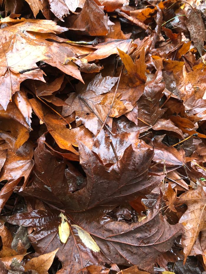 [Thumbnail for B9463378-22A5-4549-8D3F-8DBF5D7A9F63.jpeg]